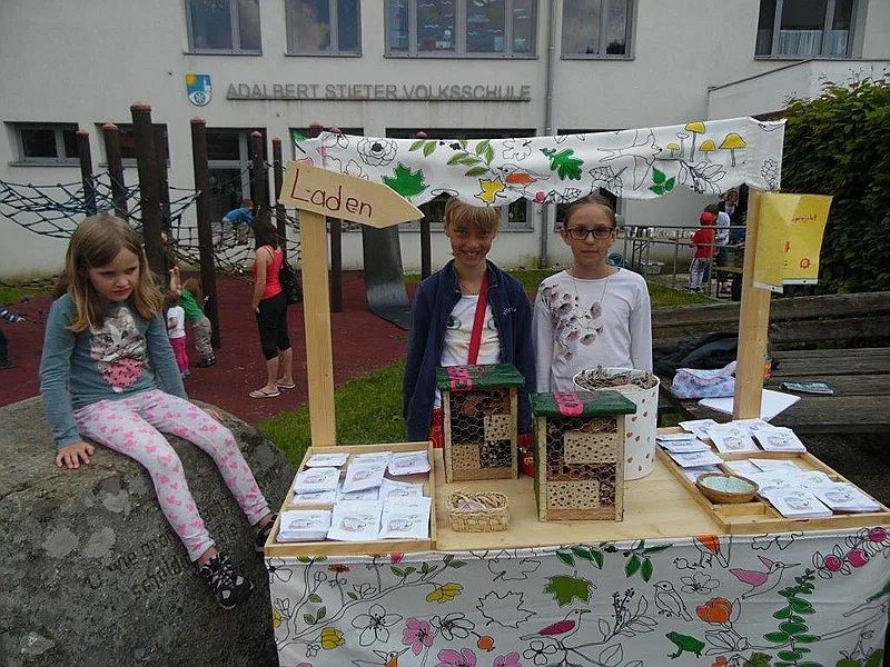 Volksschule Kirchschlag – Hilfe mit Talenten