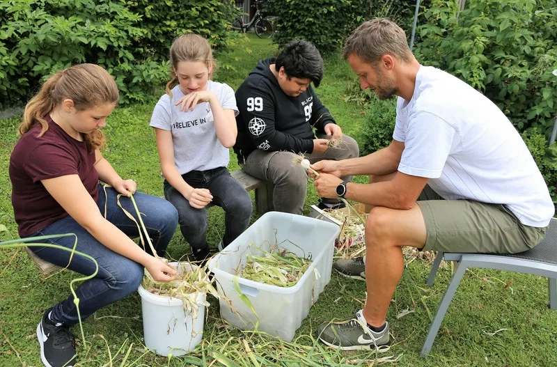 Knoblauchernte 2018