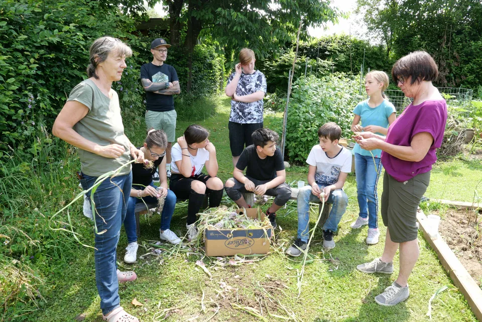 Knoblauchernte 2020 – Bild 13 von 39