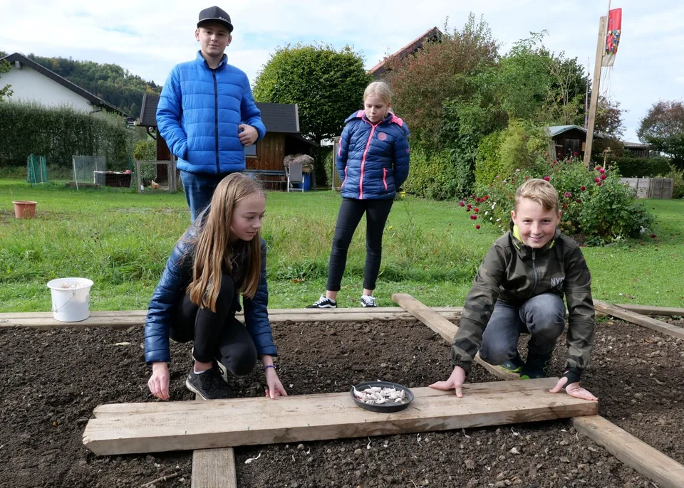 Knoblauch 2021 – Bild 8 von 11