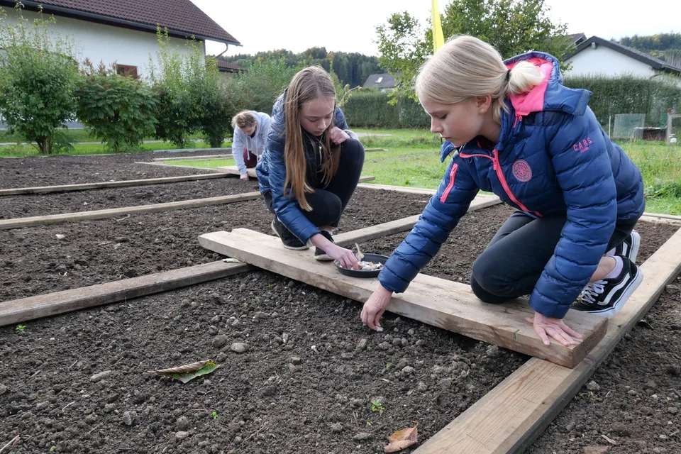 Knoblauch 2021 – Bild 7 von 11