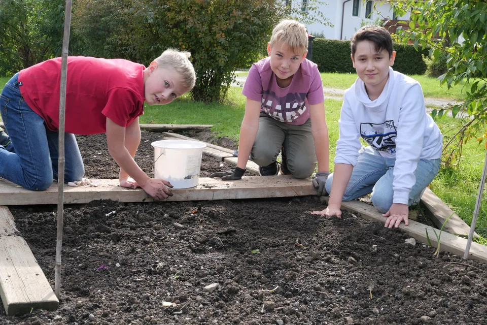 Knoblauch 2021 – Bild 2 von 11