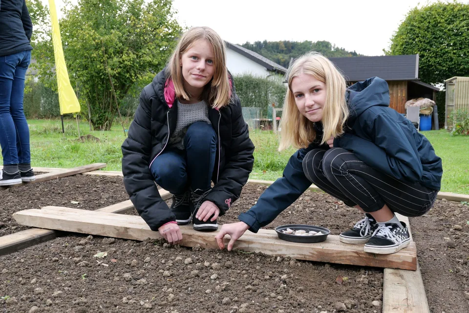 Knoblauch 2021 – Bild 11 von 11