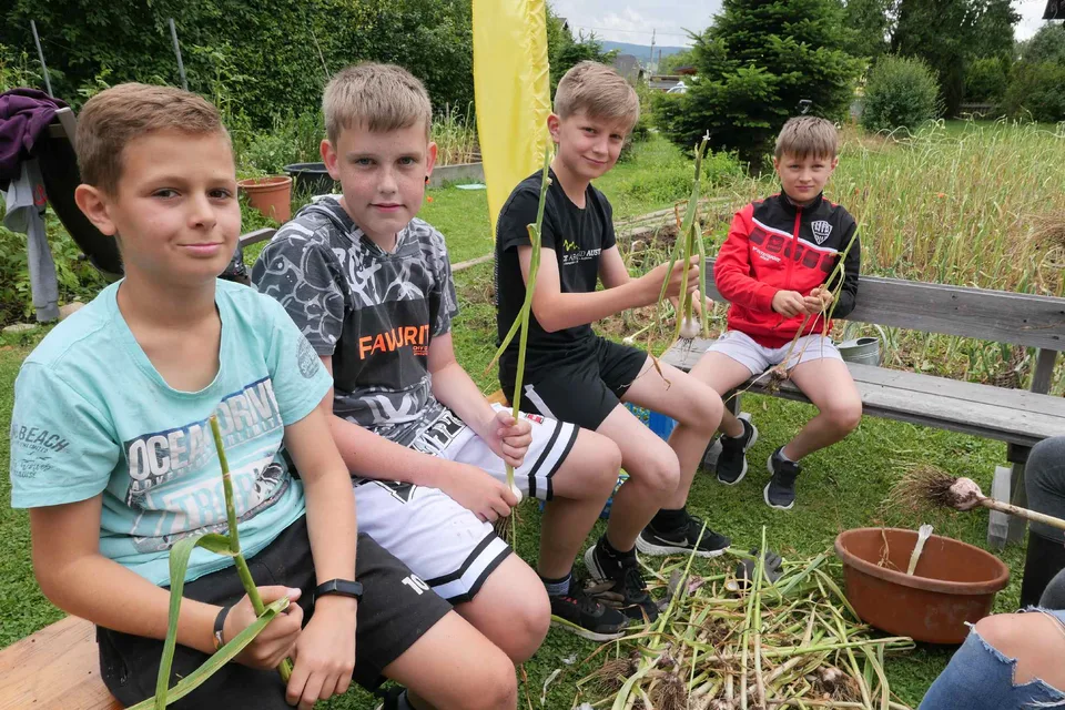 Knoblauchernte 2021 – Bild 9 von 15