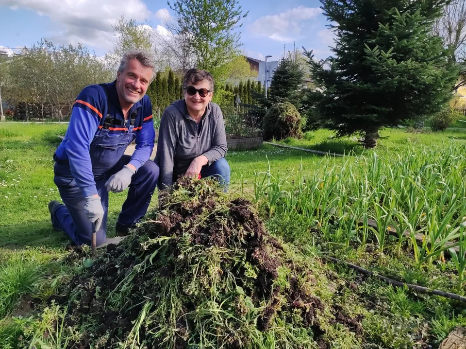 Fleißige Helfer im Knoblauchfeld – Bild 2 von 8