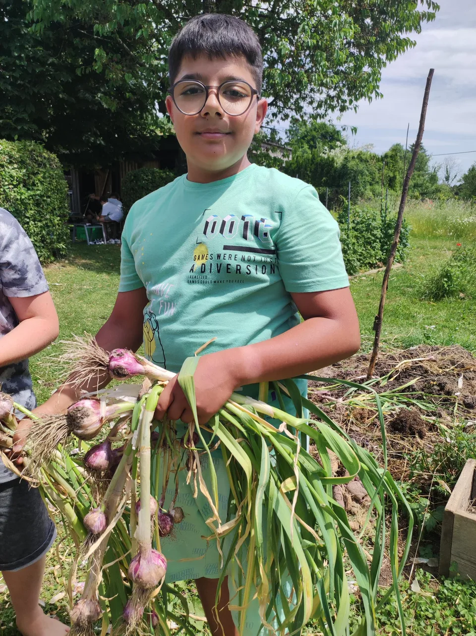 Knoblauchernte Juni 2023 – Bild 4 von 13