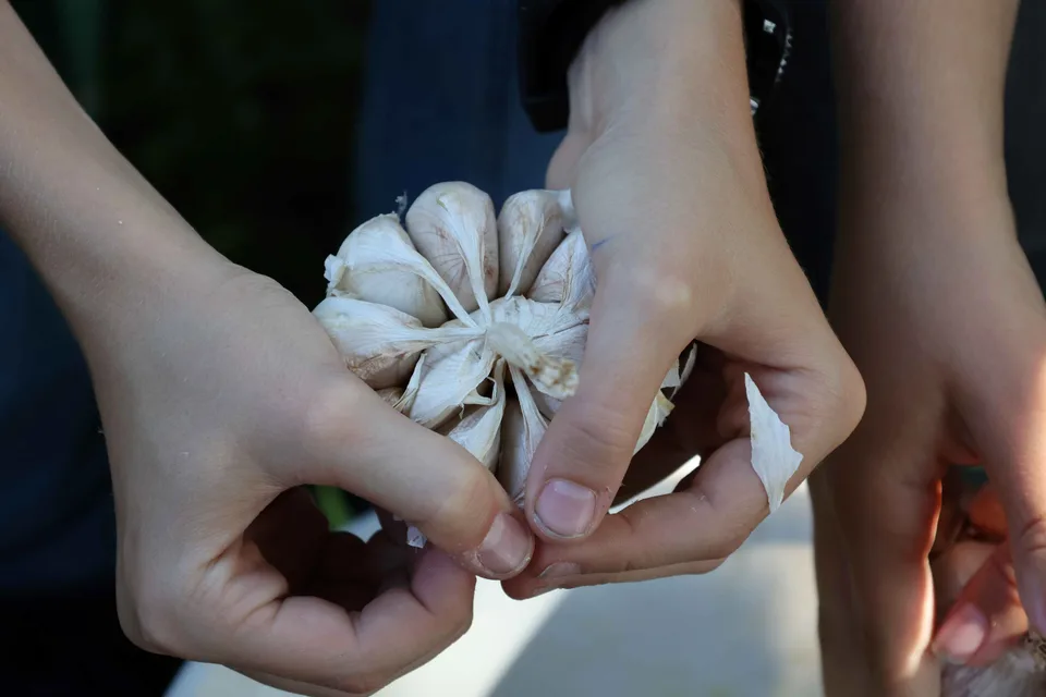 Zum 11. Mal Knoblauch für Tansania – Bild 11 von 25