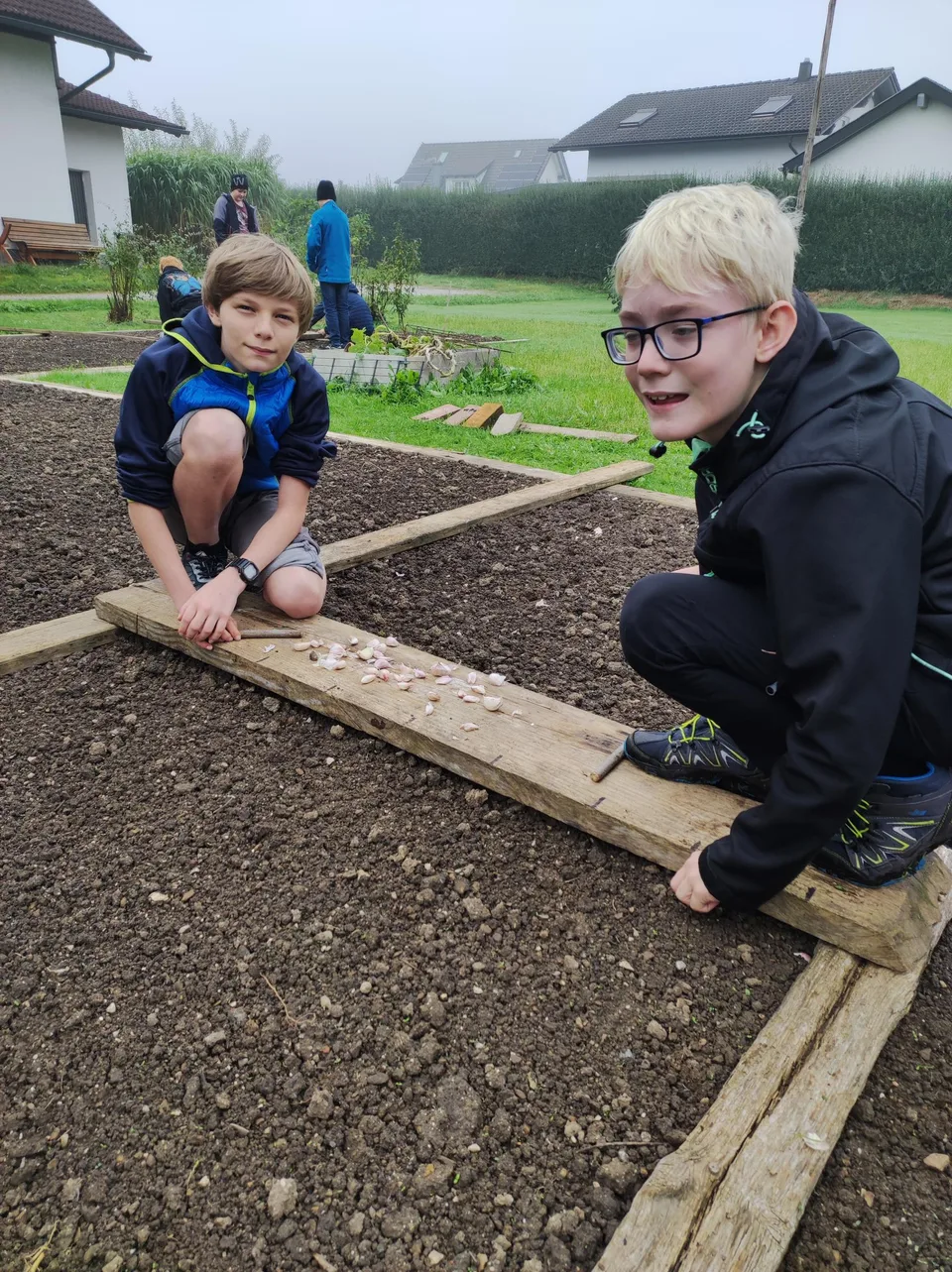 Knoblauch 2024 – Bild 1 von 15