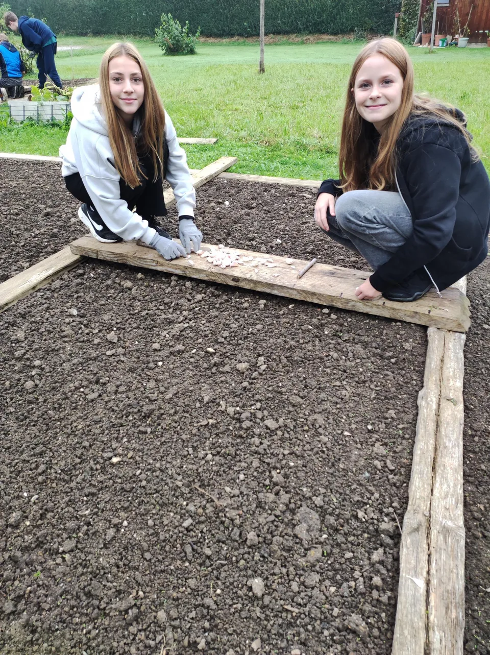 Knoblauch 2024 – Bild 11 von 15