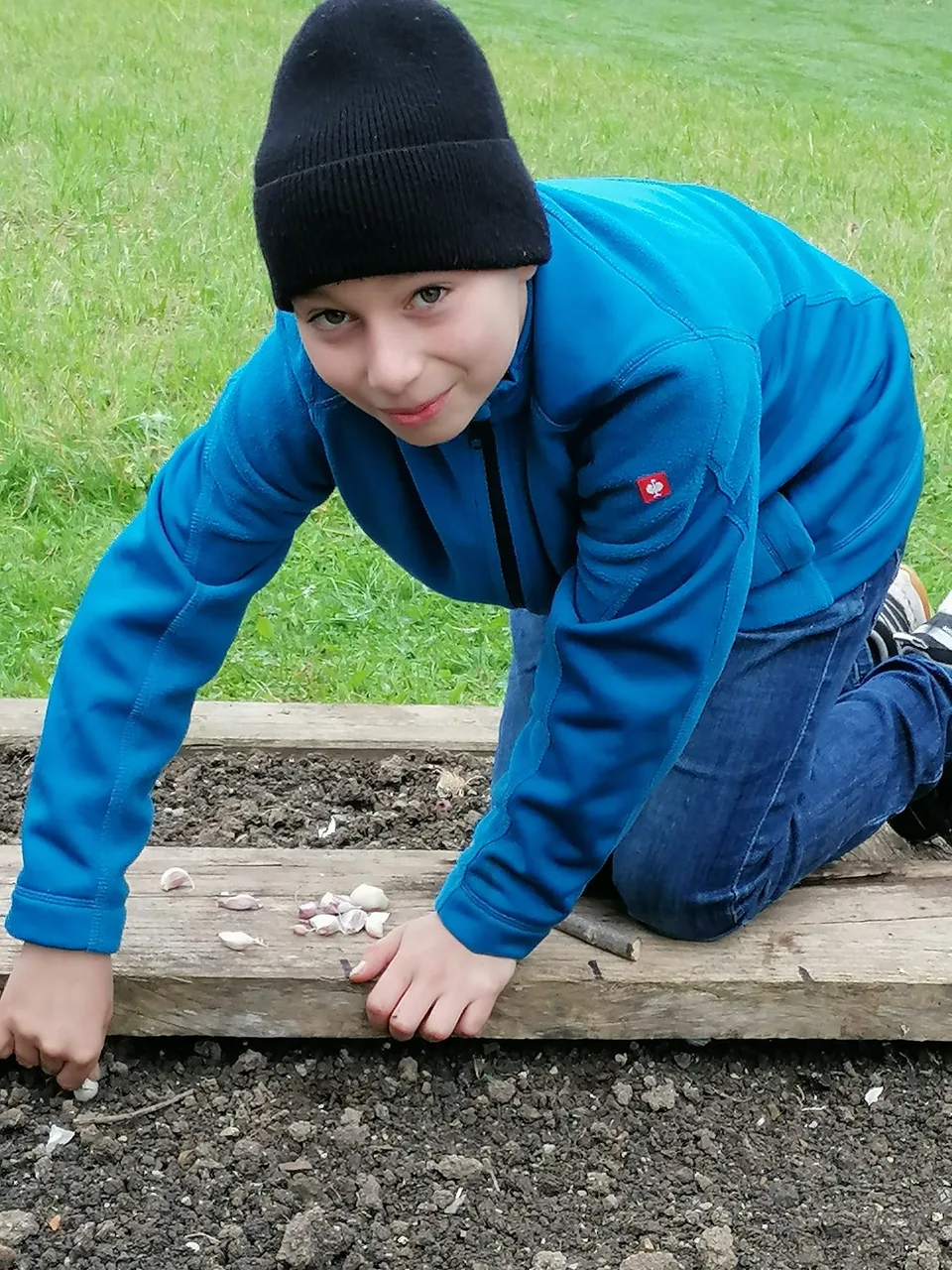 Knoblauch 2024 – Bild 4 von 15