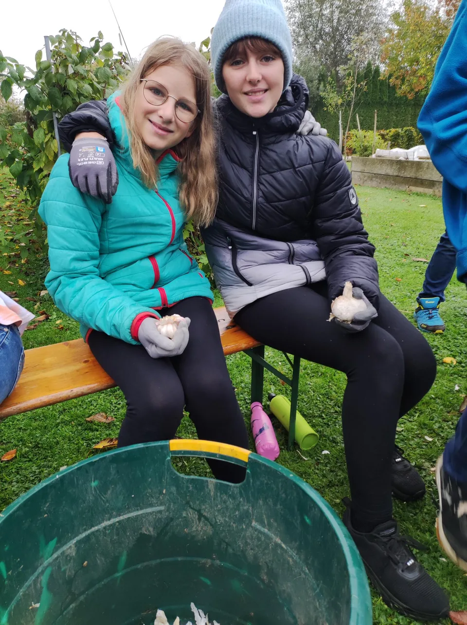 Knoblauch 2024 – Bild 3 von 15