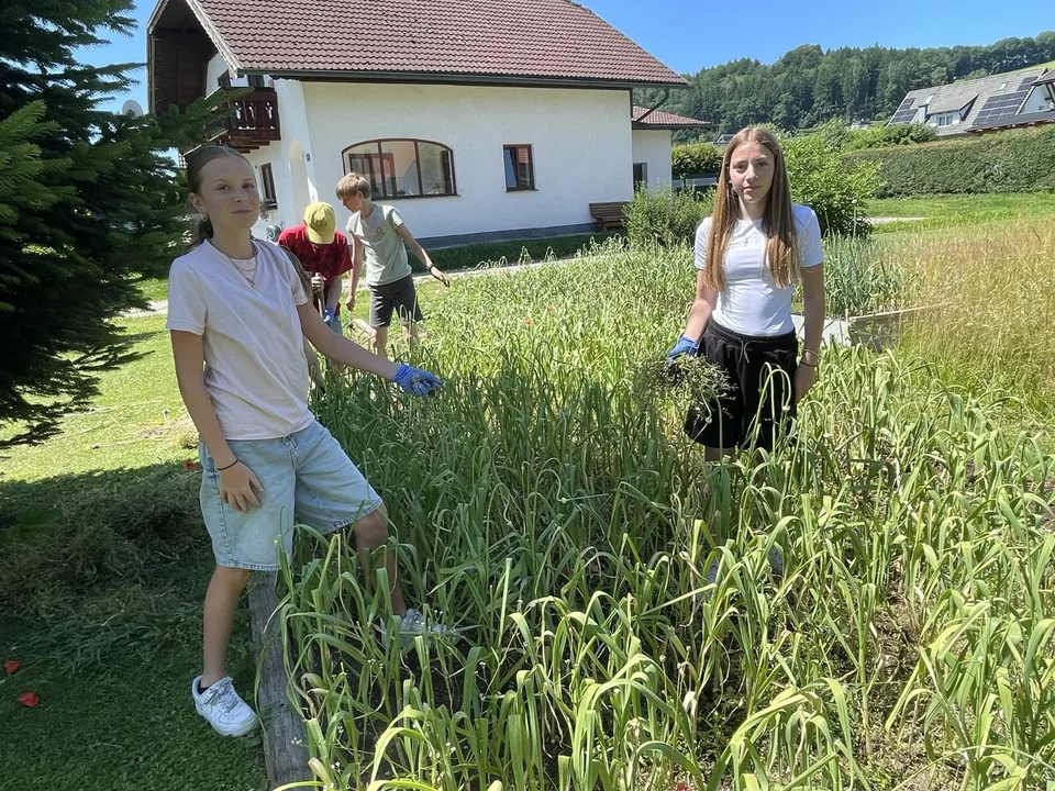 Bildung, die Wurzeln schlägt – und Hoffnung wachsen lässt – Bild 16 von 18