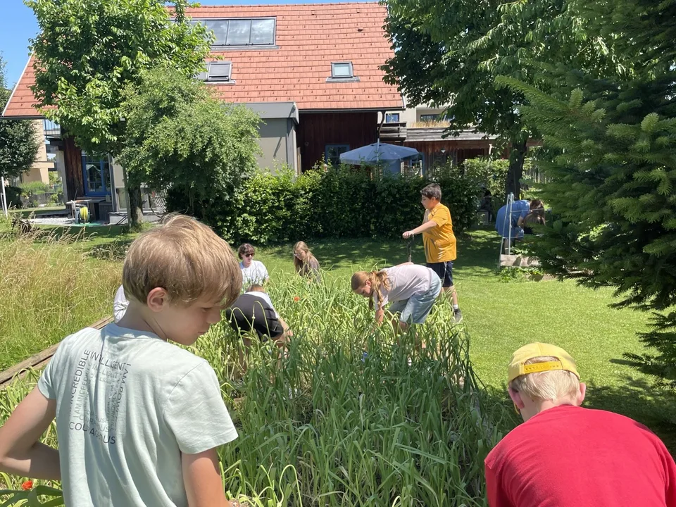 Bildung, die Wurzeln schlägt – und Hoffnung wachsen lässt – Bild 3 von 18
