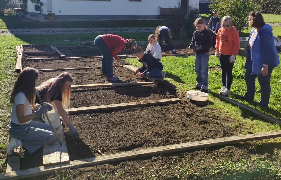 Schüler*innen arbeiten an mehreren Knoblauchbeeten im Garten
