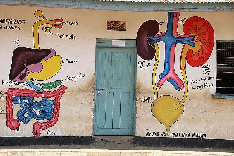 Mkolani Primary School 2017