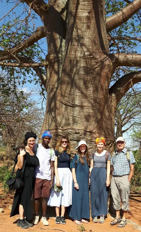 Baobab Wälder