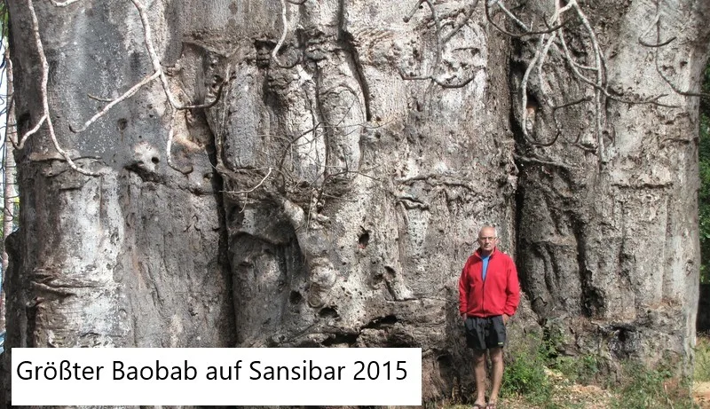 Baobab Wälder