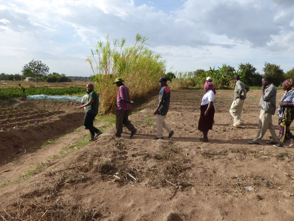 Organic Farming 1