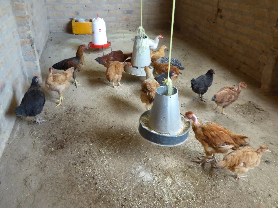 Organic Farming 2 – Bild 2 von 7