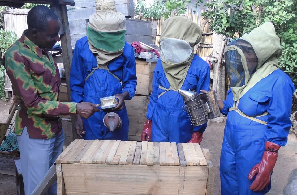 Organic Farming 3 – Bienen für Ngudama