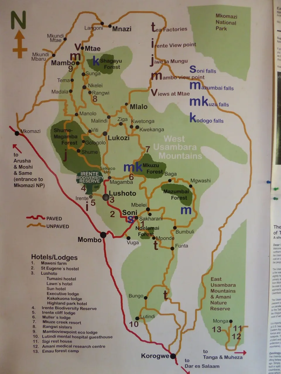 Forest Training – Bild 3 von 9