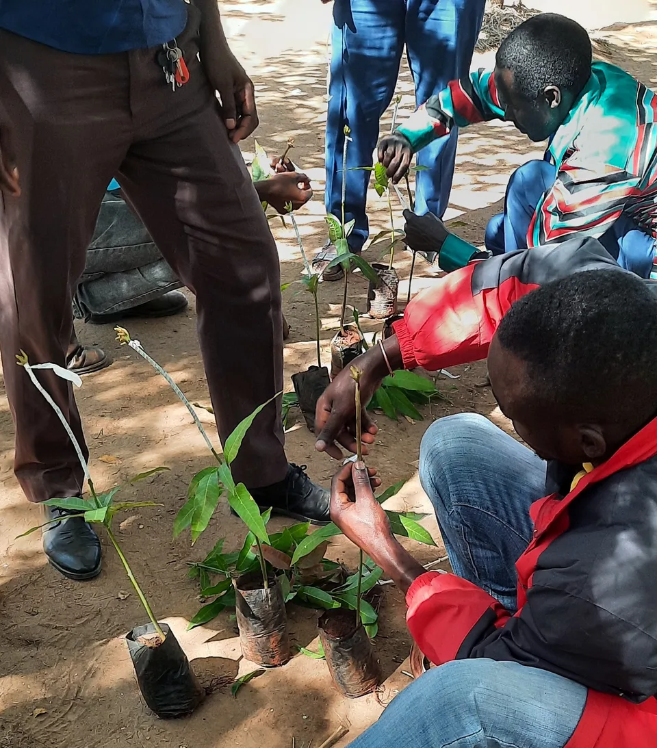 Agricultural Training 2023 in Dodoma – Bild 7 von 9