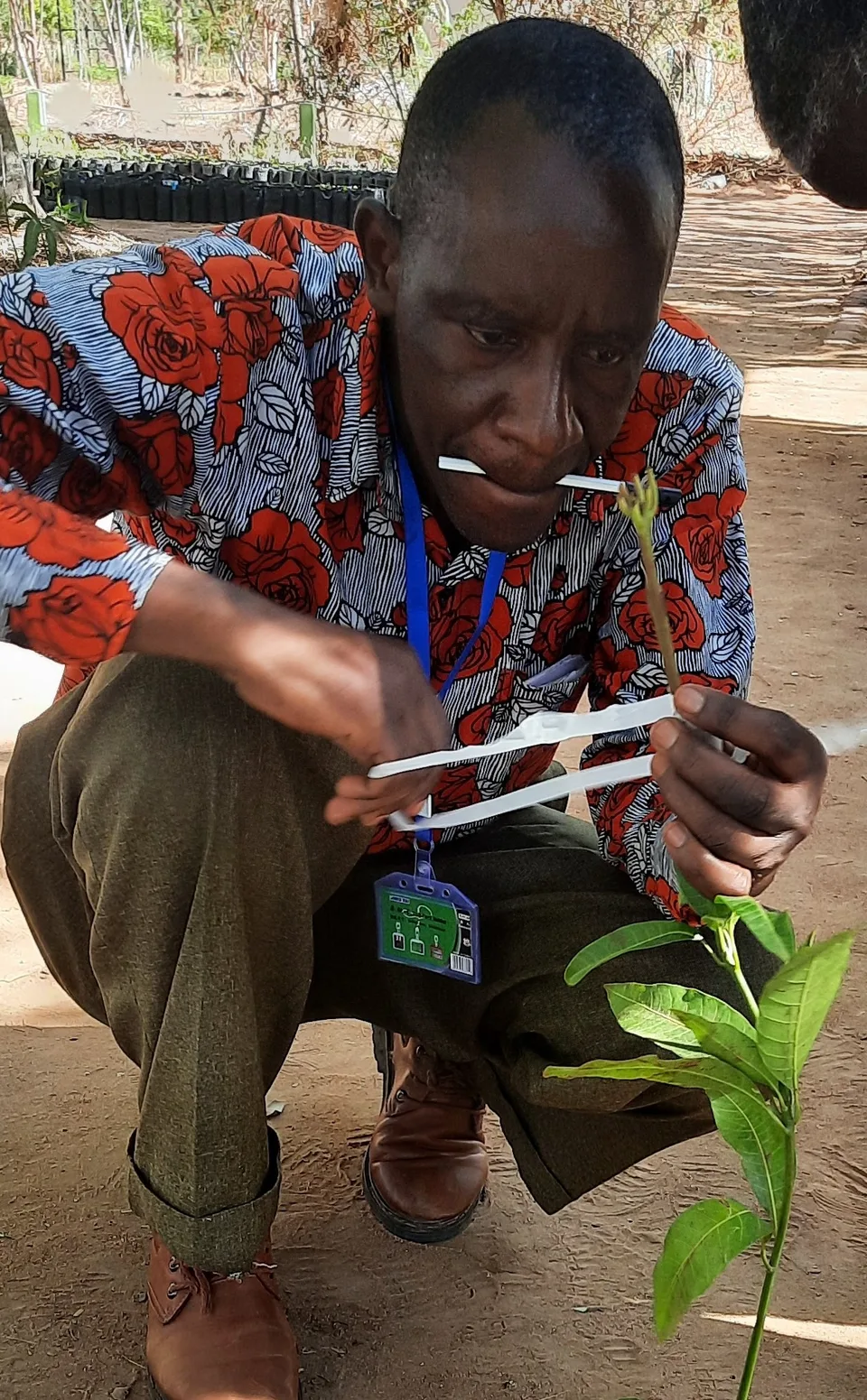 Agricultural Training 2023 in Dodoma – Bild 6 von 9