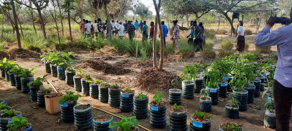 Agricultural Training 2023 in Dodoma