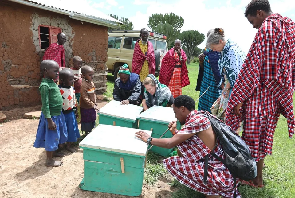 Bienenprojekt für Maasai