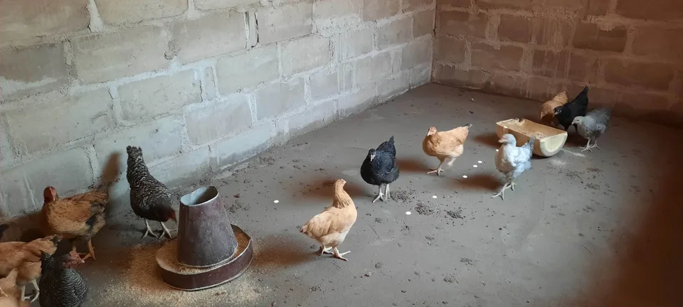 Unsere Familien - ein Leben in Würde