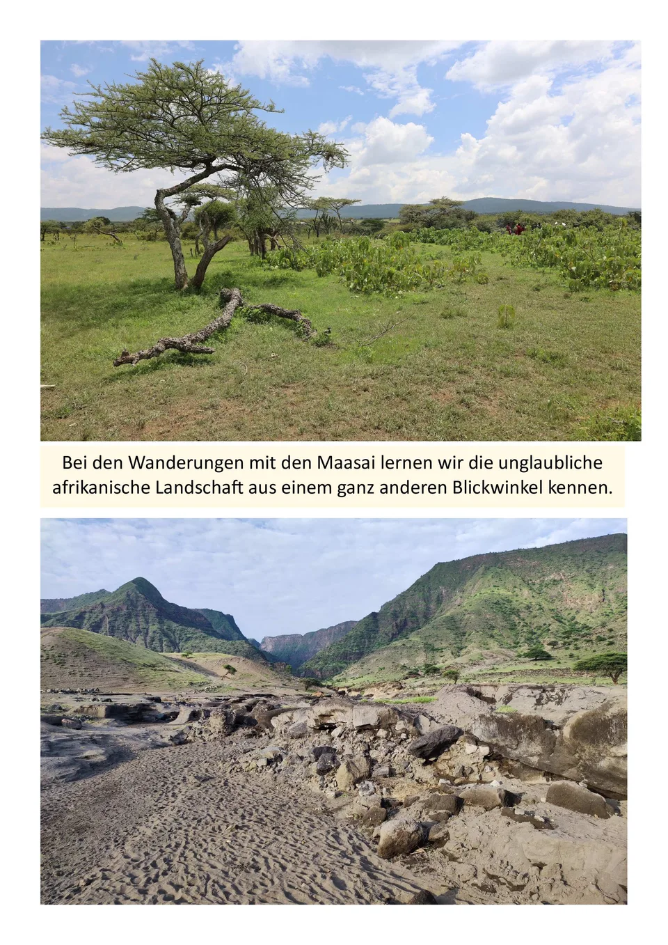 Leben mit den Maasai in Loliondo