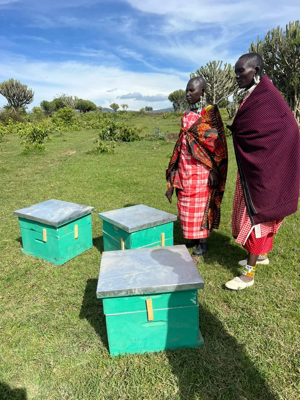 Neue Bienenkästen für die Maasai
