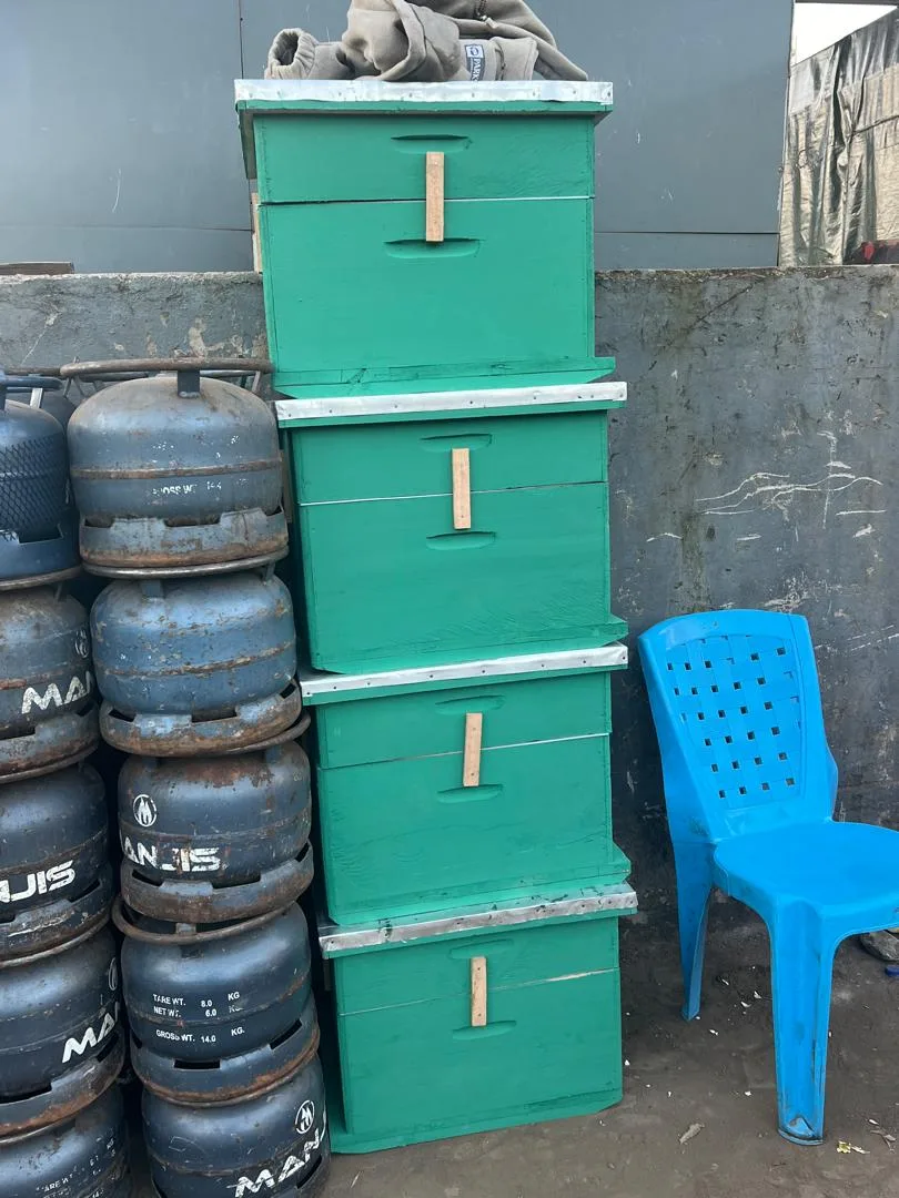 Bienenprojekt für Maasai