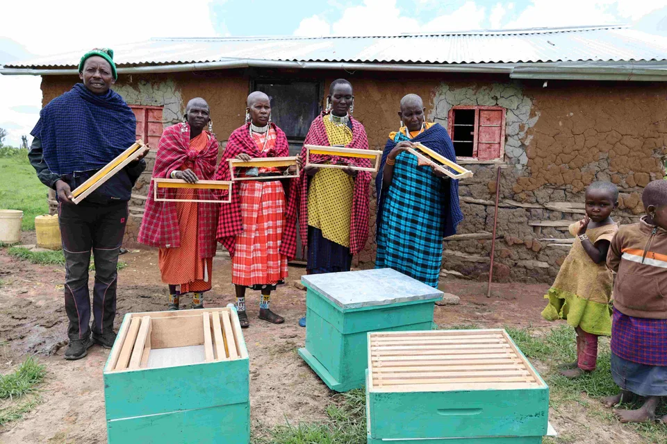 Tumaini – Sommer 2024