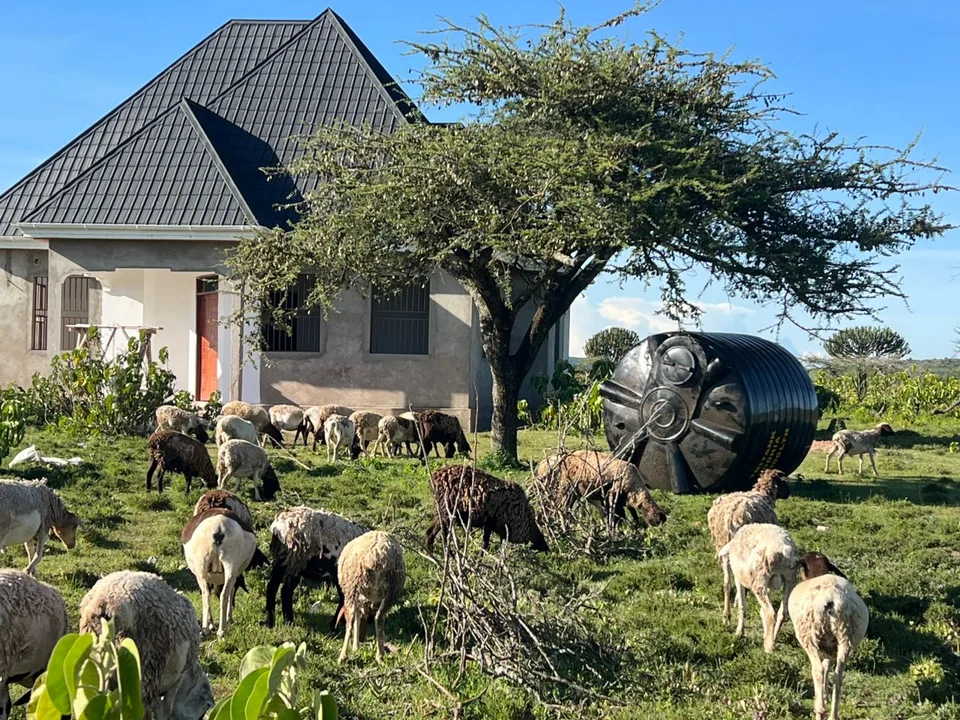 Wasserprojekt im Hochland der Maasai
