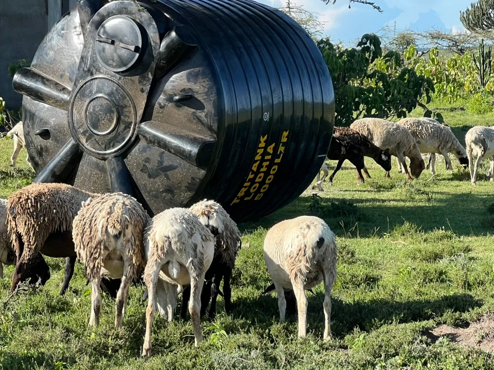 Wasserprojekt im Hochland der Maasai – Bild 8 von 16